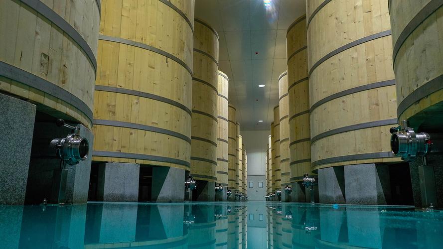 Rows of giant white-pine fermentation barrels inside a modern clean production hall